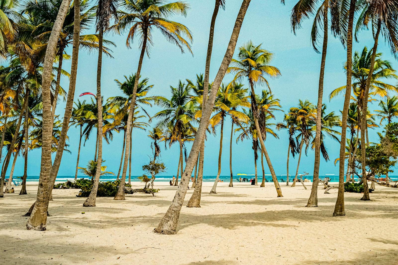 Paquete a Morrocoy, Falcón, Venezuela